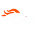 Denver Broncos